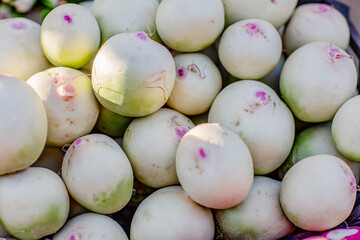 White radish in the market, close-up background
