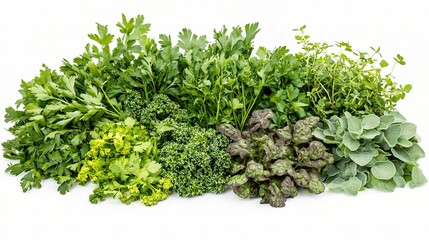 Obraz premium A Close-Up of Fresh Culinary Herbs Including Cilantro, Parsley, Oregano, Basil, and Other Greens on a White Background for Cooking and Flavor Enhancement