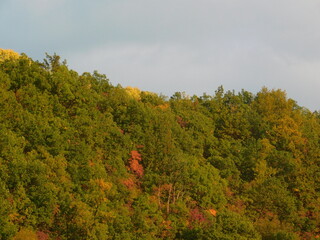 Autmun colors