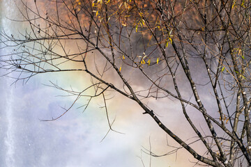 rainbow on the fountain pond with trees