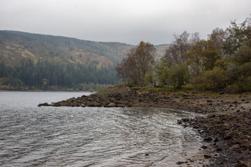 Shoreline of Thirlmere reservoir, Cumbria