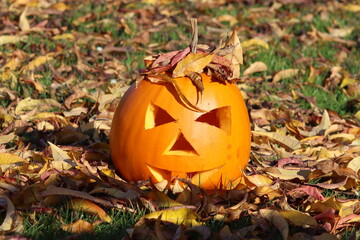Geschnitzter Halloween K&uuml;rbis 