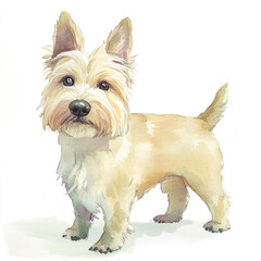 Norwich Terrier Dog Watercolor Print - Adorable and Spooky Canine Artwork