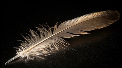 A single, soft feather with delicate barbs rests gently on a black surface, illuminated by a soft, warm light.