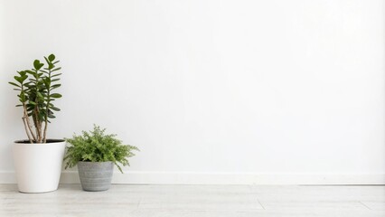 Fototapeta premium A simple interior design with potted plants against a pristine white wall, showcasing a clean and minimalist aesthetic.