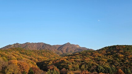 가을에 빨갛고 노랗게 물든 나무와 하늘이 보이는 자연경관