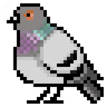 ドット絵, アニマルイラスト, カワラバト, 灰二引