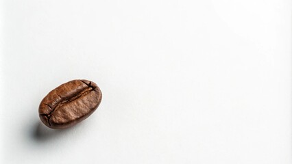 A solitary coffee bean rests against a pristine white backdrop, showcasing its rich brown hue and intricate surface texture.