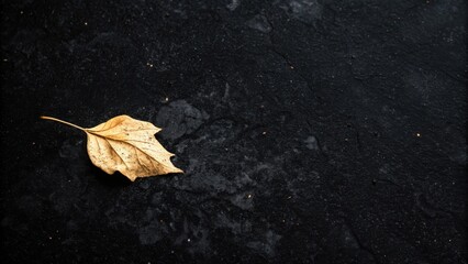 A Single Dried Leaf Against a Dark Background, a Minimalist Composition Emphasizing the Delicate Beauty of Nature's Cycle