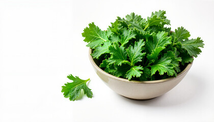 Fresh parsley leaves in a ceramic bowl on a white background, Immunity theme, copy space