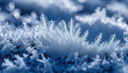 Ice crystals growing on surface in winter wonderland