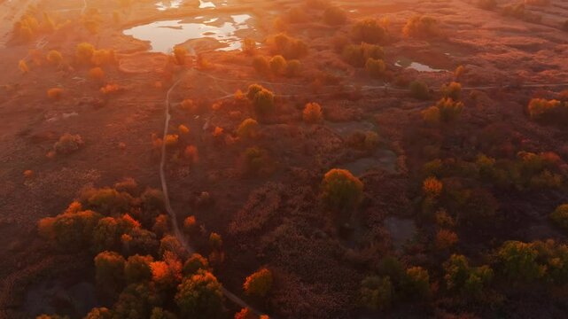 Vacaresti Natural Park. Aerial 4K video with this amazing natural reservation park in Bucharest, view during an autumn sunrise with city in background. Travel to Romania.