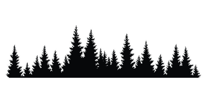 Fir trees silhouette. Coniferous spruce horizontal background pattern, black evergreen woods vector illustration. Beautiful hand drawn panorama of coniferous forest