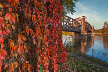 Hubbrücke Magdeburg über die Elbe im Herbst mit rotem Weinlaub