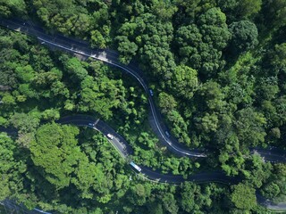 zig zag road in the forest