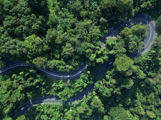 zig zag road in the forest