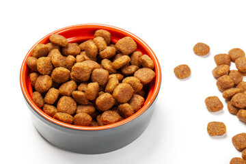 Healthy dog ​​food in ceramic bowl on white background