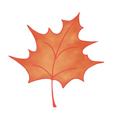 red maple leaf