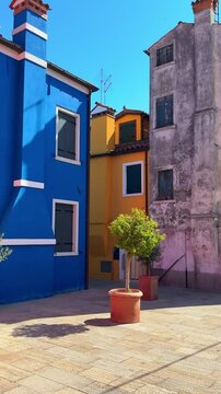 Colorful architecture in Burano island, Venice, Italy. Courtyard with blue, yellow and pink houses and decorative green trees. Famous travel destination. Vertical video
