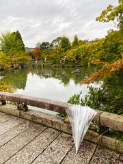 Naklejka premium autumn in the park
