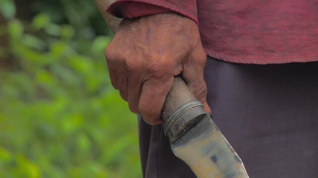 Traditional. Real scenes of a Venezuelan farmer practicing subsistence agriculture, a simple lifestyle deeply tied to nature. Climate change and global warming threaten these authentic livelihoods. 