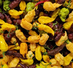 Hot peppers fruits background