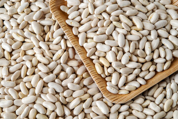 Dry white beans background. Raw kidney bean texture close-up. Plant protein, harvesting, organic farm products concept. Vegetarian and vegan food ingredient.