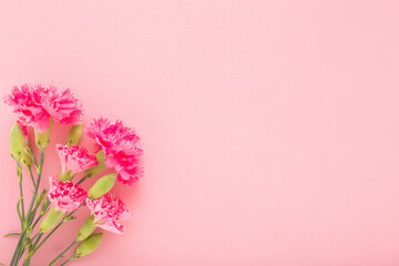 Naklejka premium Beautiful fresh pink carnation flowers bouquet on light pink table background. Pastel color. Closeup. Congratulation concept. Empty place for text, quote or sayings. Top down view.
