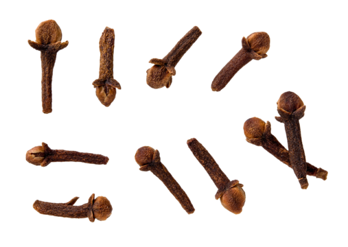 Set of whole organic clove buds cutout. Macro. Variety of dry organic cloves spice isolated on a white background. Concept of cooking and herbal medicine.