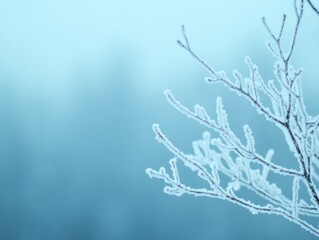 Obraz premium A frosty branch glistens in a cool, misty landscape, showcasing delicate ice crystals against a soft blue background.