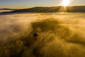 Góra Malnik, Dolina Popradu, Beskid Sądecki, Małopolska, jesień