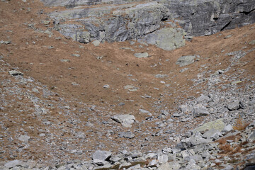 Val bognanco