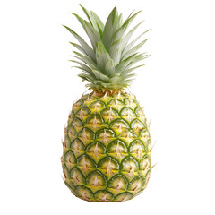 Fototapeta premium A large pineapple with natural characteristics