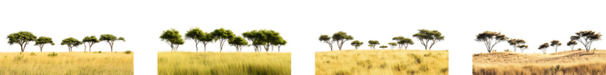 Obraz premium Lush savanna landscape with distant trees under bright sky isolated on transparent background