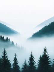 Fototapeta premium A serene misty landscape with evergreen trees set against soft, fog-laden valleys and mountains in the background, creating a tranquil atmosphere.