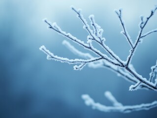 A close-up of a frost-covered branch against a cool, blurred background, capturing the serene beauty of winter.