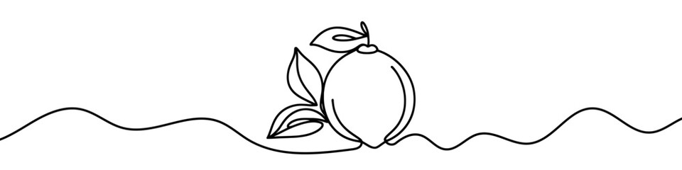 One continuous line illustration of a lime, isolated on white background. Line art of lime