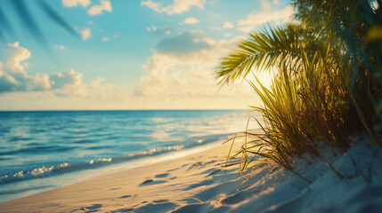 Fototapeta premium Sunset on a Tropical Beach with Palm Leaves and Soft Sand