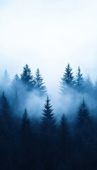 Fototapeta premium A misty forest with tall evergreen trees, shrouded in a mysterious blue haze, creating a tranquil and enchanting atmosphere.