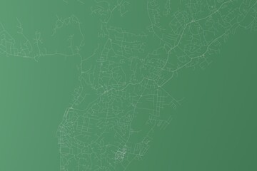 Stylized map of the streets of Suva (Fiji) made with white lines on green background. Top view. 3d render, illustration