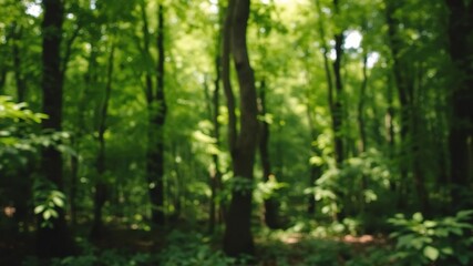 A serene and dreamy blurred background of a lush green forest, background, abstract