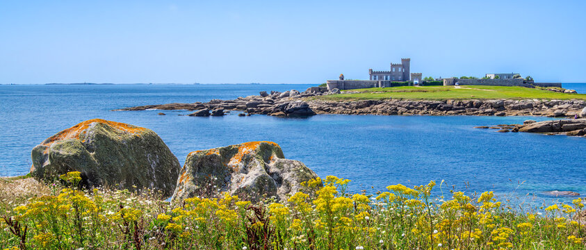 Coastal View in Brittany with Castle Artaud and Wildflowers