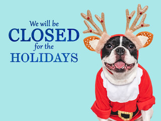 Signboard with the inscription We will be closed for the Holidays. Cute puppy and text for the sign. Closeup, indoors. Studio shot. Pets care concept