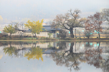 Fototapeta premium Autumn morning scenery of Wiyangji (pond) in Miryang, Gyeongsangnam-do, Korea