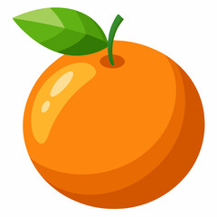 orange fruit vector illustration