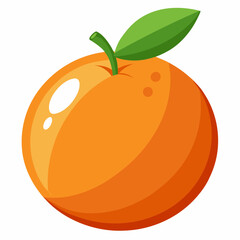 orange fruit vector illustration