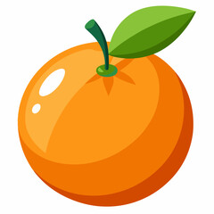 illustration of orange fruit