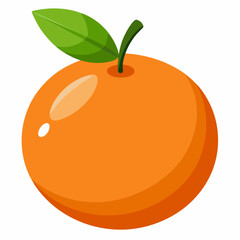 orange fruit vector illustration