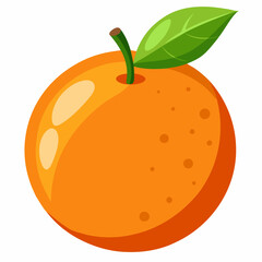 orange fruit vector illustration