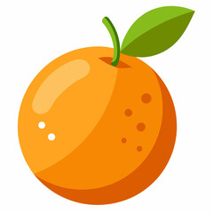 illustration of orange fruit